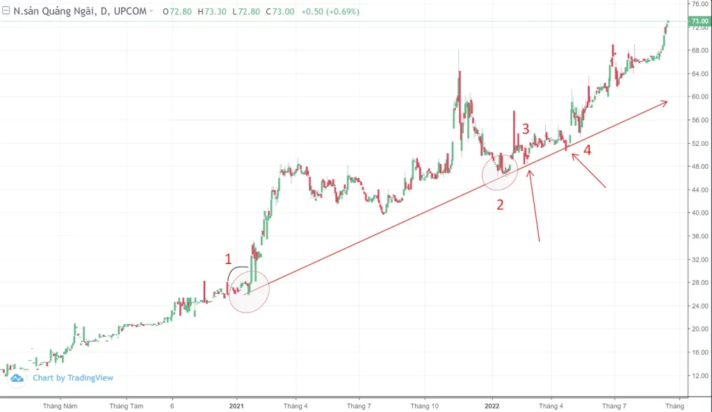 Mức hỗ trợ và kháng cự (Support and Resistance Levels)