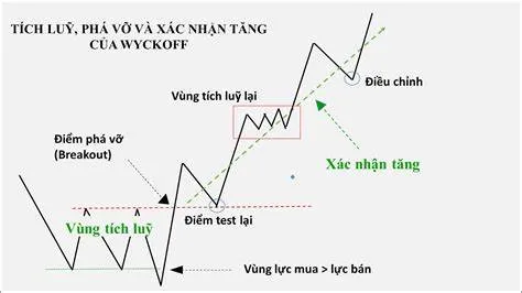 Phân tích cơ bản cổ phiếu là gì? "Gãi đúng chỗ ngứa" cho nhà đầu tư dài hạn