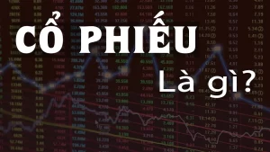 cổ phiếu là gì
